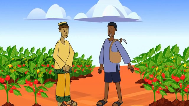 Tuta Force at 00:52: the two farmers smile; the rows on both sides of the field are green with red tomatoes.